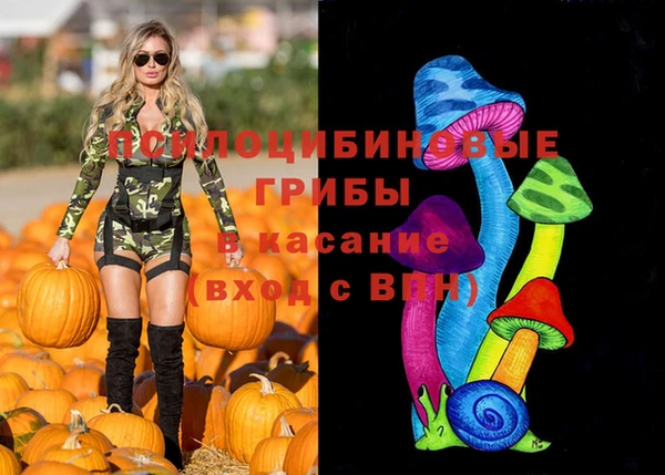 спайс Алексеевка