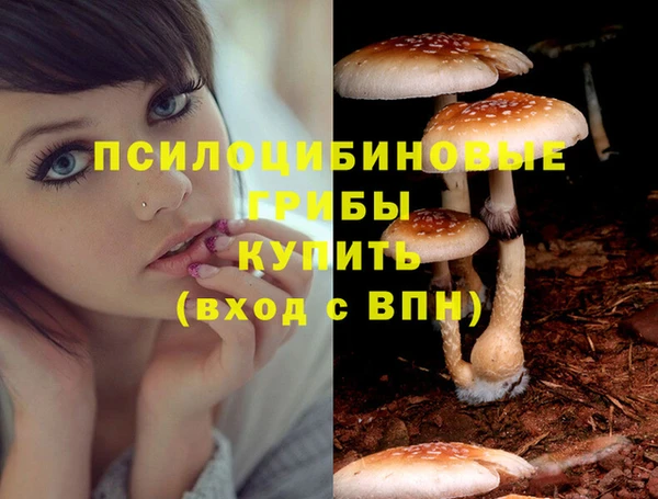 ГАЛЛЮЦИНОГЕННЫЕ ГРИБЫ Алексин