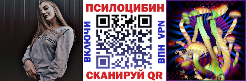 Псилоцибиновые грибы GOLDEN TEACHER  где купить наркоту  Нововоронеж 