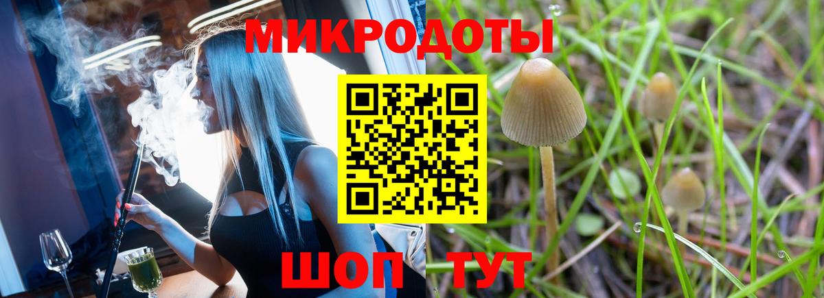 Галлюциногенные грибы мухоморы Нововоронеж